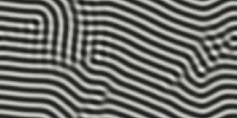 A dense labyrinth of light and dark parallel stripes of fixed width, curving in patches of different orientations that meet at defects and grain boundaries.